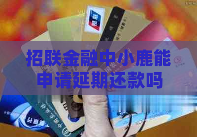 招联金融中小鹿能申请延期还款吗