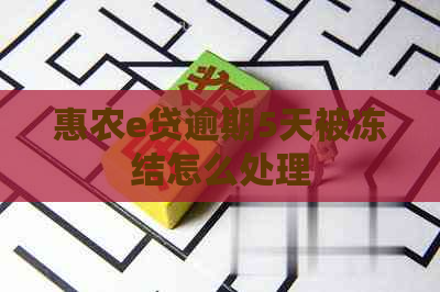 惠农e贷逾期5天被冻结怎么处理