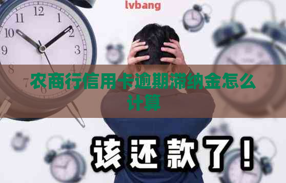 农商行信用卡逾期滞纳金怎么计算