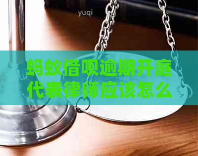 蚂蚁借呗逾期开庭代表律师应该怎么做