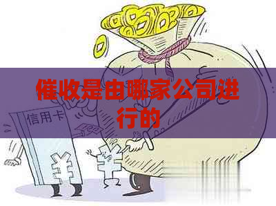 是由哪家公司进行的