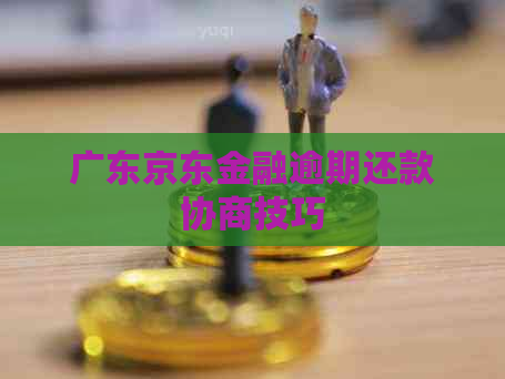 广东京东金融逾期还款协商技巧