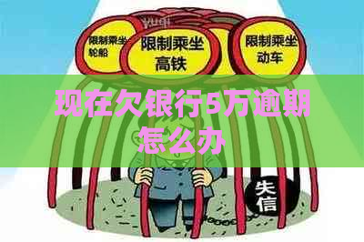 现在欠银行5万逾期怎么办