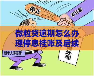 微粒贷逾期怎么办理停息挂账及后续处理