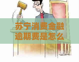 苏宁消费金融逾期费是怎么计算的