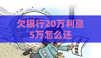 欠银行20万利息5万怎么还