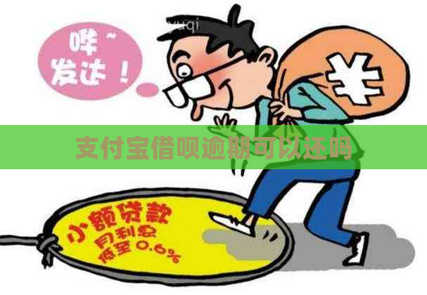 支付宝借呗逾期可以还吗