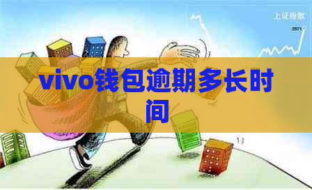 vivo钱包逾期多长时间