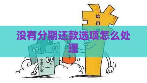 没有分期还款选项怎么处理