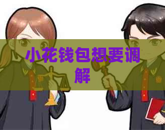 小花钱包想要调解