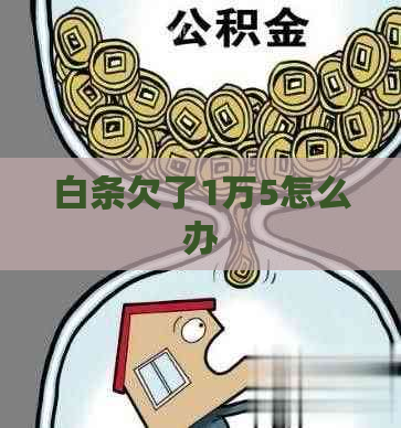 白条欠了1万5怎么办