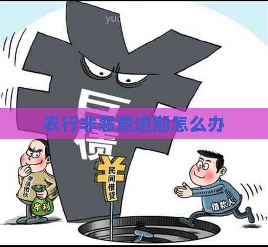 农行非恶意逾期怎么办