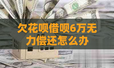 欠花呗借呗6万无力偿还怎么办