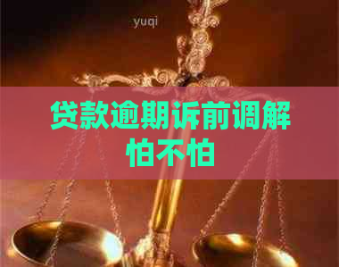 贷款逾期诉前调解怕不怕