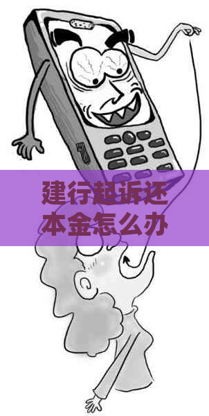 建行起诉还本金怎么办