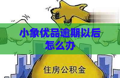 小象优品逾期以后怎么办