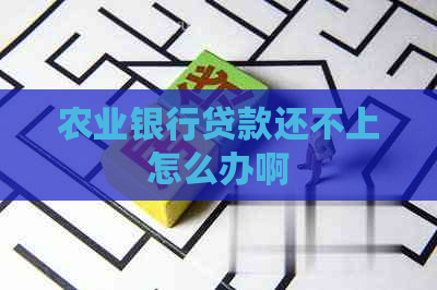 农业银行贷款还不上怎么办啊