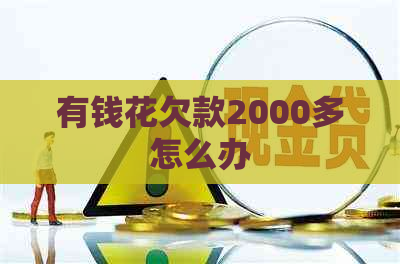 有钱花欠款2000多怎么办