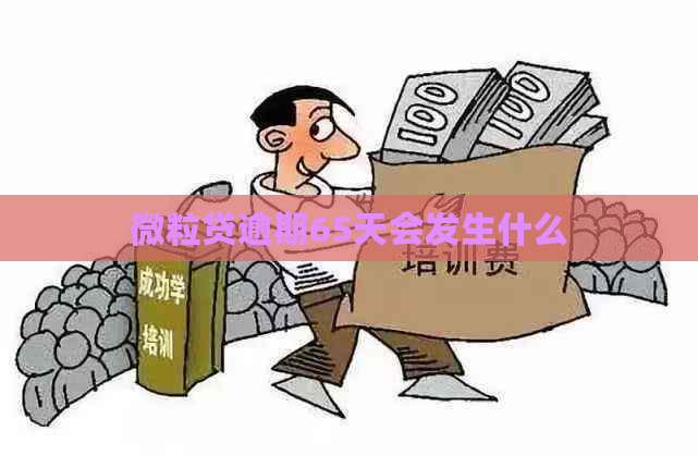 微粒贷逾期65天会发生什么