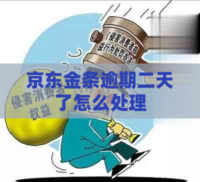 京东金条逾期二天了怎么处理