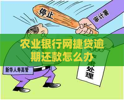 农业银行网捷贷逾期还款怎么办