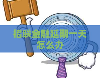 招联金融延期一天怎么办