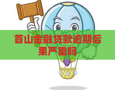 首山金融贷款逾期后果严重吗