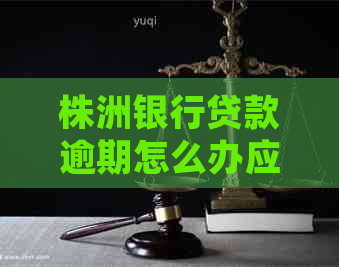 株洲银行贷款逾期怎么办应该如何处理