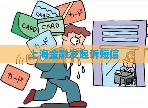 上海金融发起诉短信