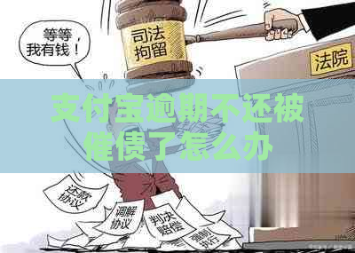 支付宝逾期不还被催债了怎么办