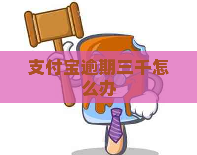 支付宝逾期三千怎么办