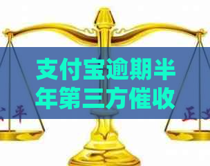 支付宝逾期半年第三方流程解析