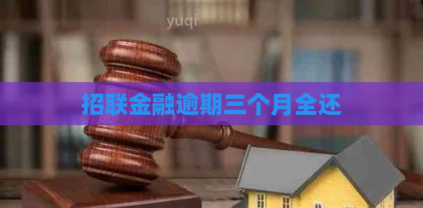 招联金融逾期三个月全还