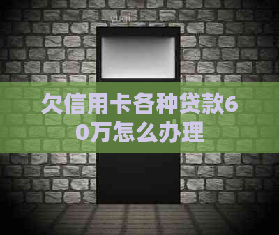 欠信用卡各种贷款60万怎么办理