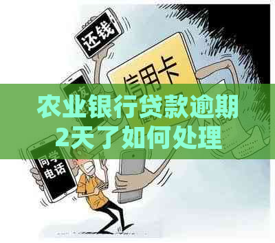 农业银行贷款逾期2天了如何处理