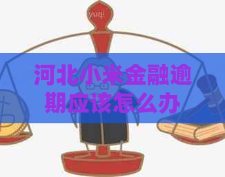 河北小米金融逾期应该怎么办