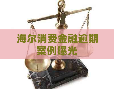 海尔消费金融逾期案例曝光