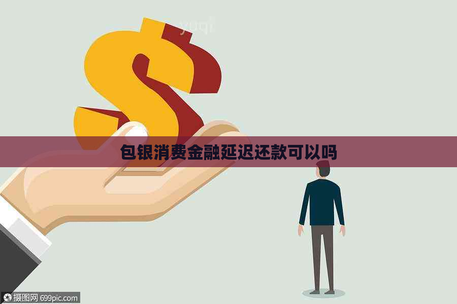 包银消费金融延迟还款可以吗