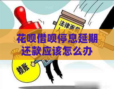 花呗借呗停息延期还款应该怎么办