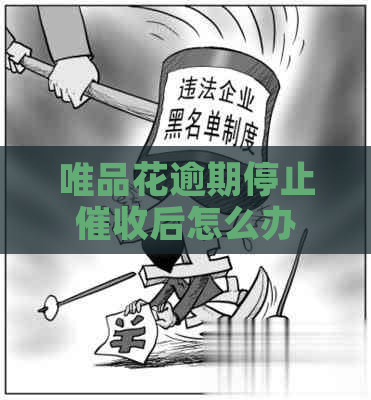 唯品花逾期停止后怎么办