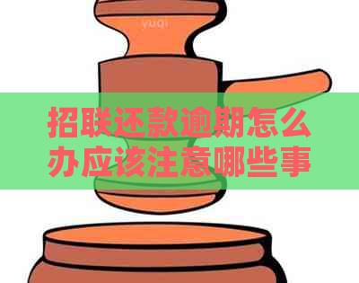 招联还款逾期怎么办应该注意哪些事项