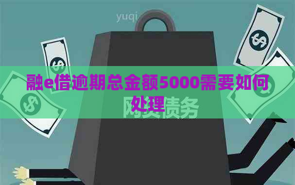 融e借逾期总金额5000需要如何处理