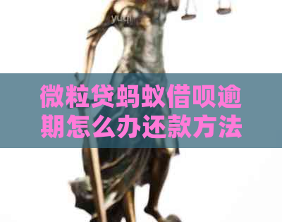 微粒贷蚂蚁借呗逾期怎么办还款方法有哪些