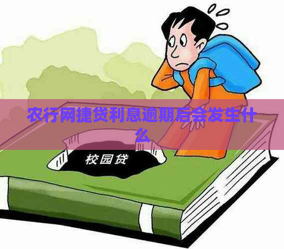 农行网捷贷利息逾期后会发生什么