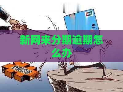 新网来分期逾期怎么办