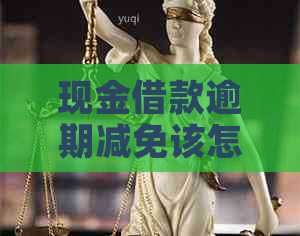 现金借款逾期减免该怎么办