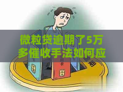 微粒贷逾期了5万多手法如何应对