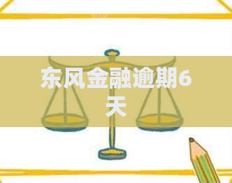 东风金融逾期6天