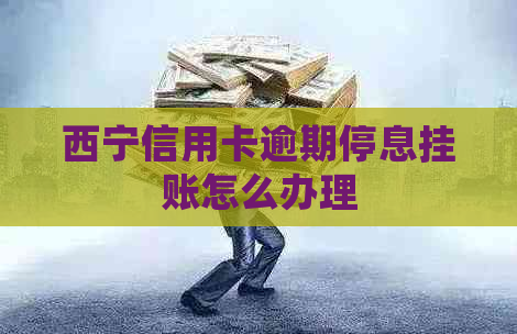 西宁信用卡逾期停息挂账怎么办理