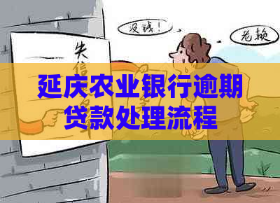 延庆农业银行逾期贷款处理流程